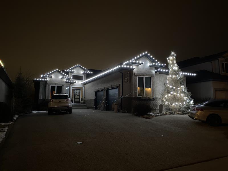 0c1ea302 df02 4f86 bf1c 57dc493839bf