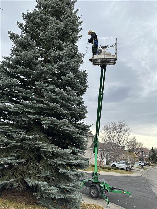 11847959 3c9a 4958 b179 a852cc97b27d