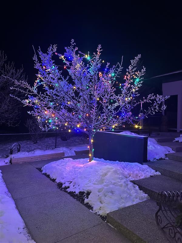 12a3e0ee bf75 4cba b230 dc67688a40d9