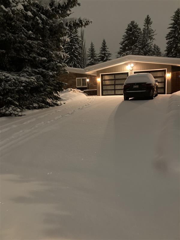 59bb38e6 3f8f 48d2 914c ebdd2b6f7579