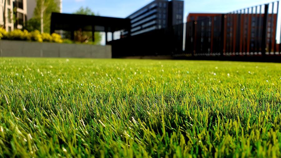 Beautiful lawn - Close up view on grass with a house visible at the back