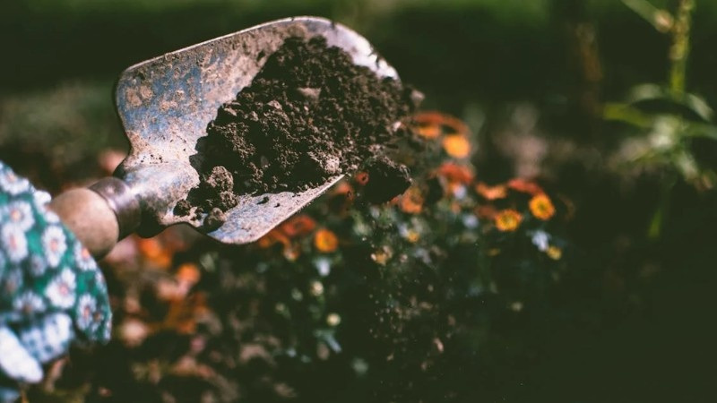 A person checking the soil in their yard.