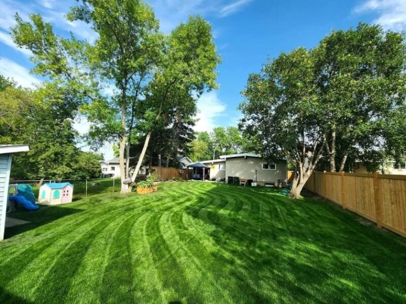 Freshly Mowed Lawn