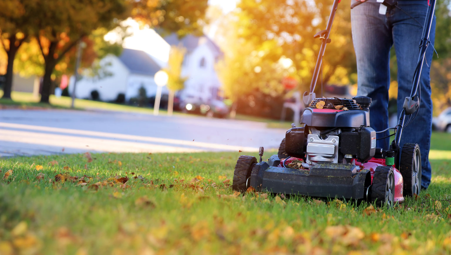 Mowing a lawn in fall