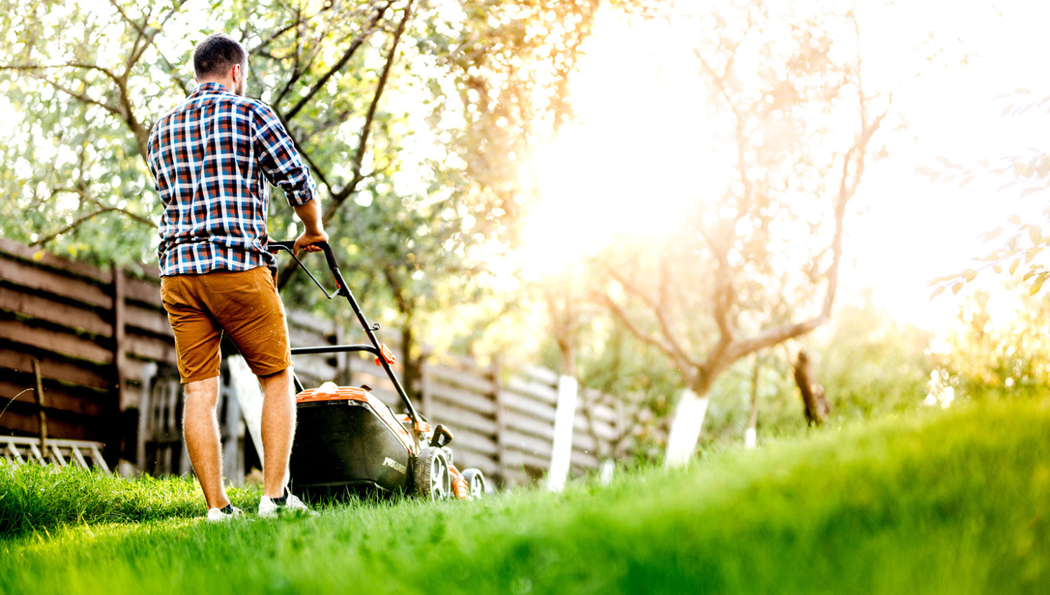 Man Mowing Lawn Early Evening