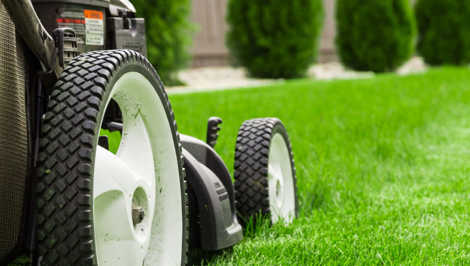 Mower Ready to Mow