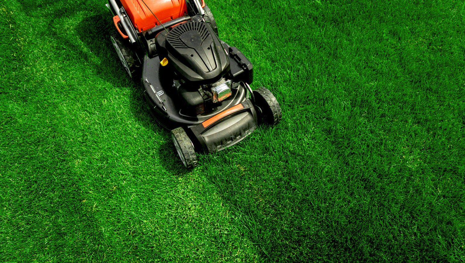 Mowing Green Grass