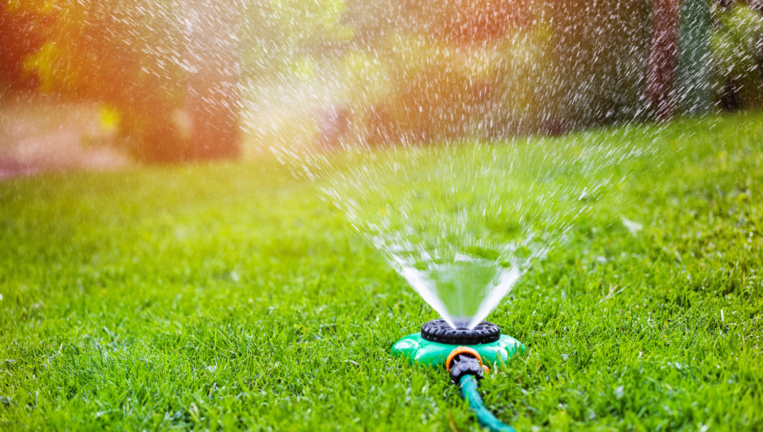 Sprinkler on Lawn