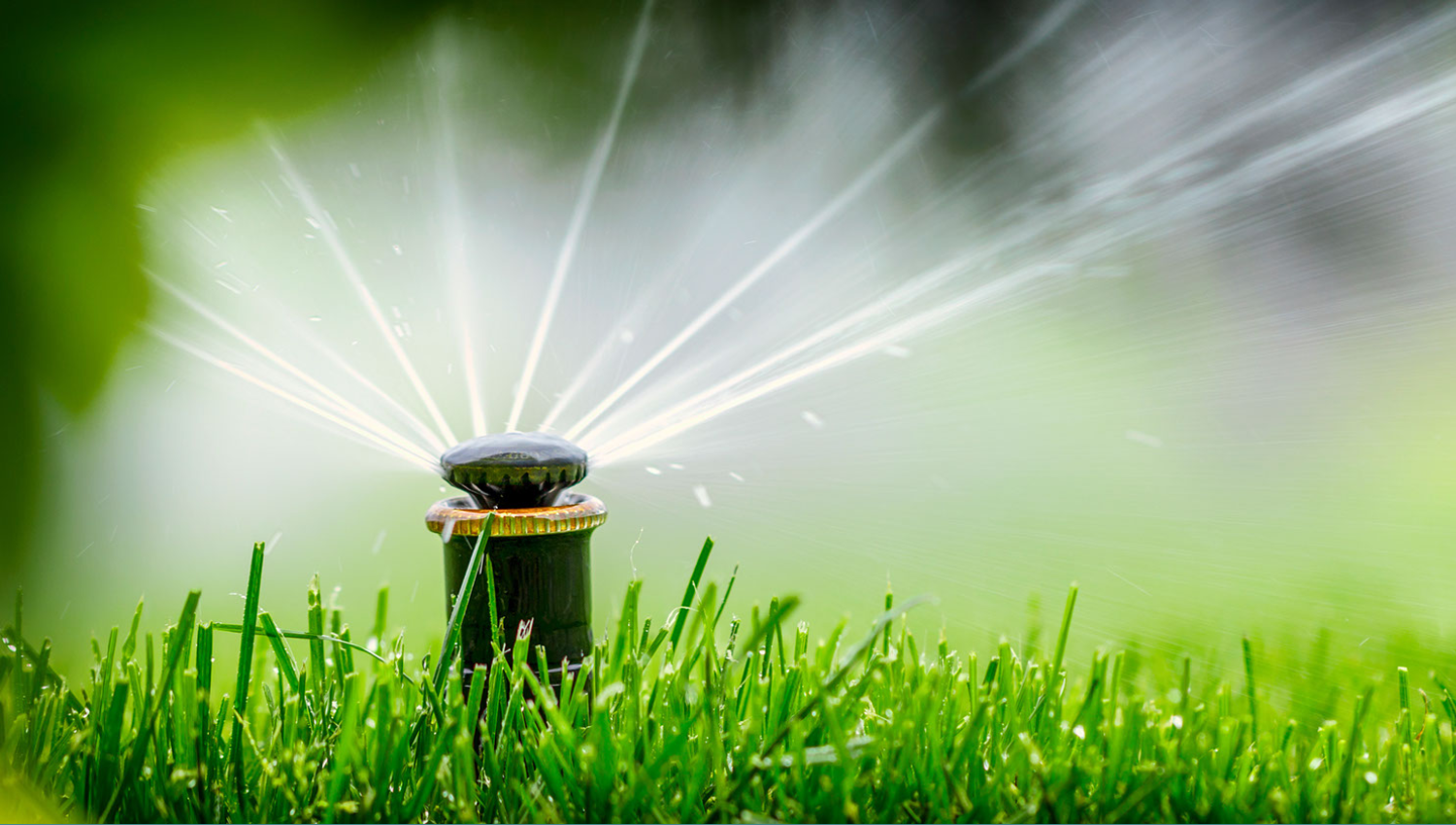 Irrigation System Sprinkler