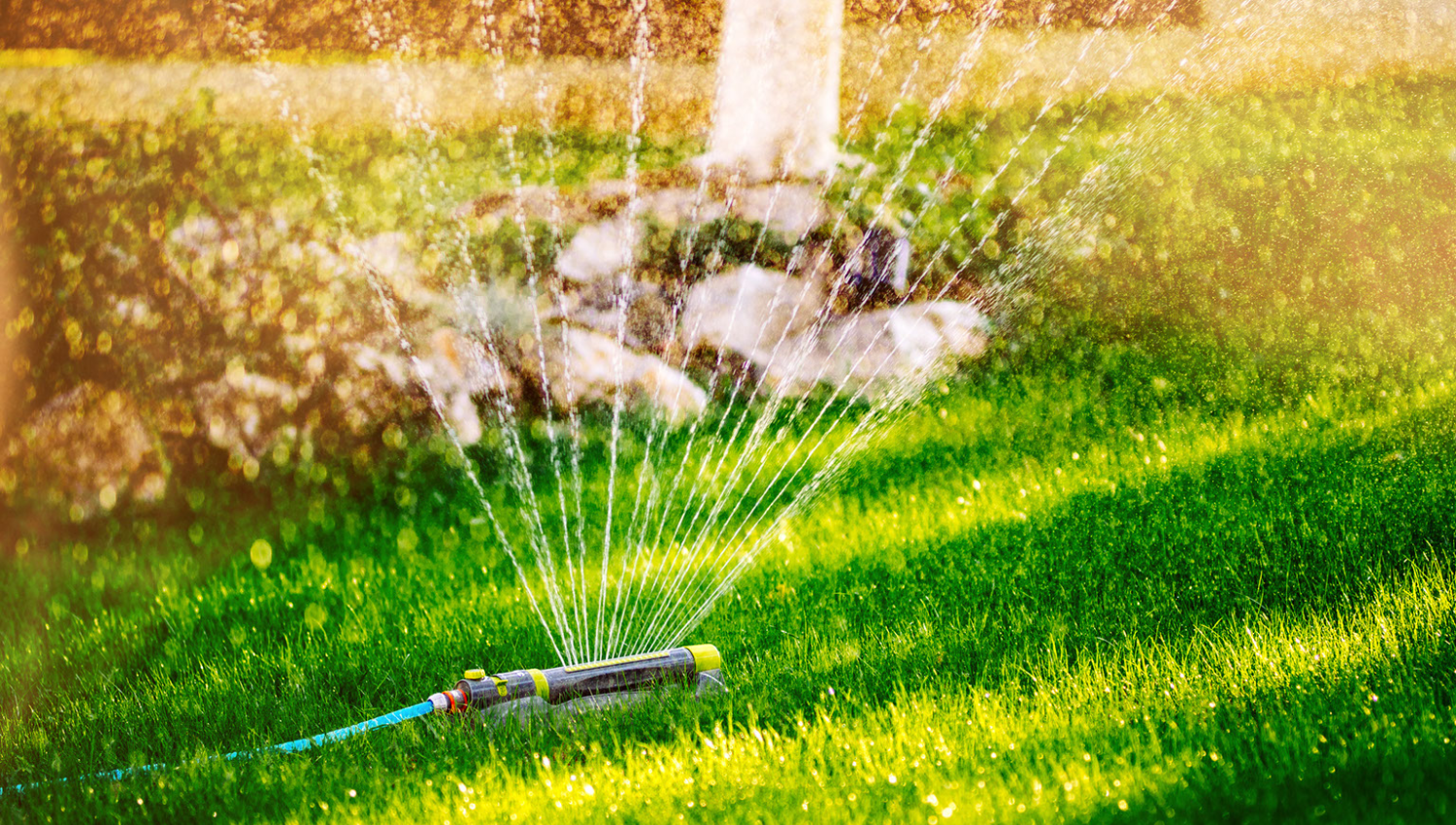 Sprinkler Watering Lawn in Morning