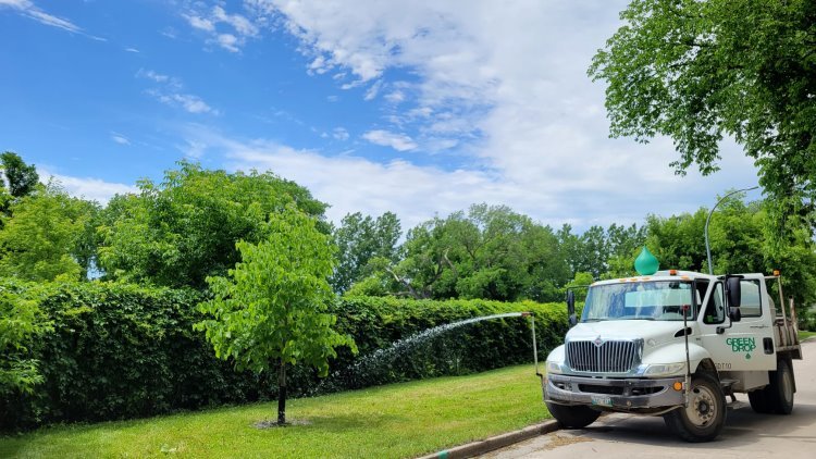 Green Drop truck watering trees