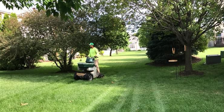 Large Lawn Image