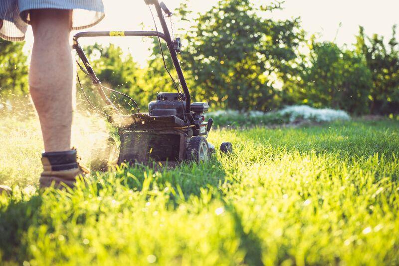 Lawn Mower Cutting Grass