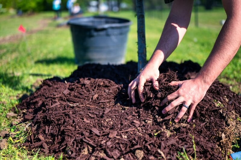 Mulching The Lawn