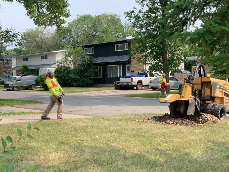 Stump Grinding