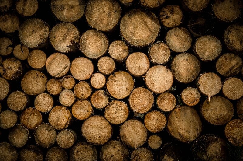 Tree Stumps Stacked