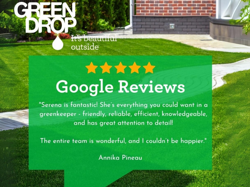 Green Drop Lawn Review