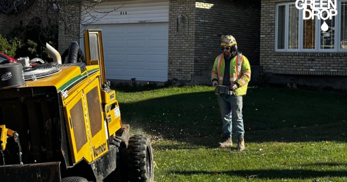 Stump Removal vs Stump Grinding— What's Right for Your Lawn?