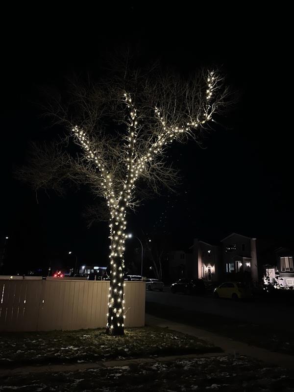 Aafd60ba 0b6d 4fea 8826 eb8a4215bd2f