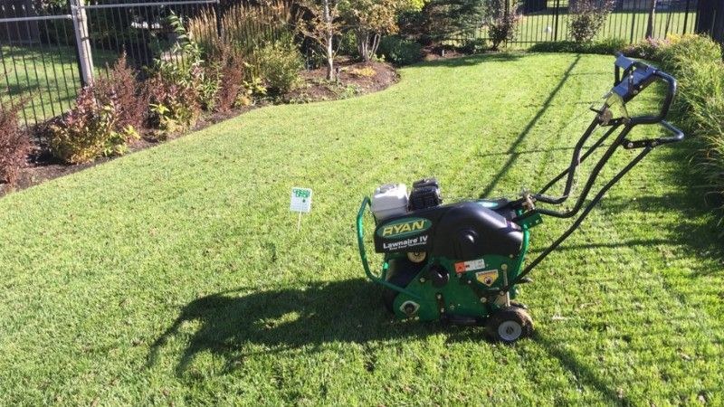 What’s The Best Time for Aeration and Overseeding?