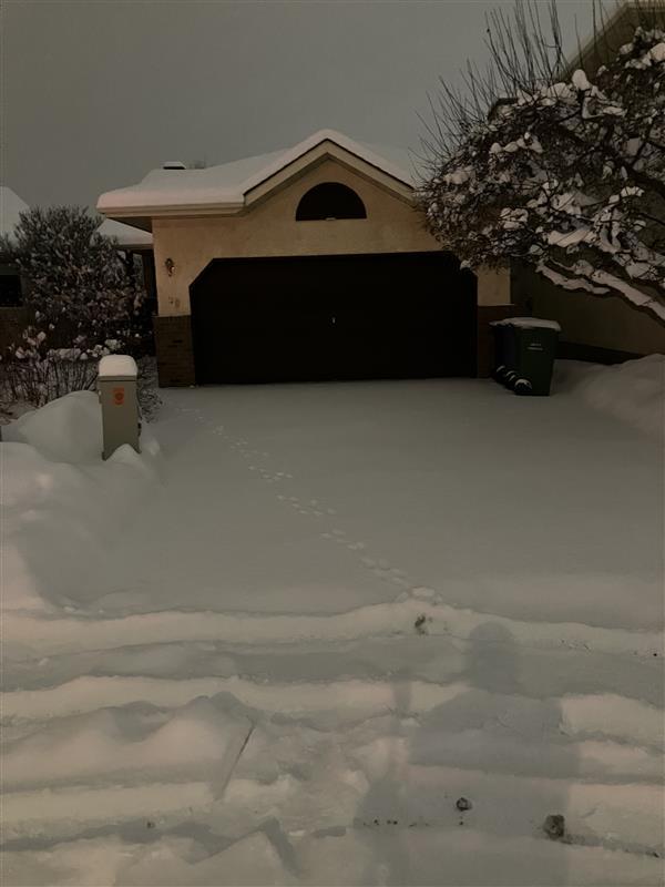 Afa91e26 fe4c 44c8 8e9b 1a55ceb0f733