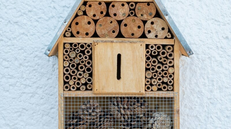 Bee House