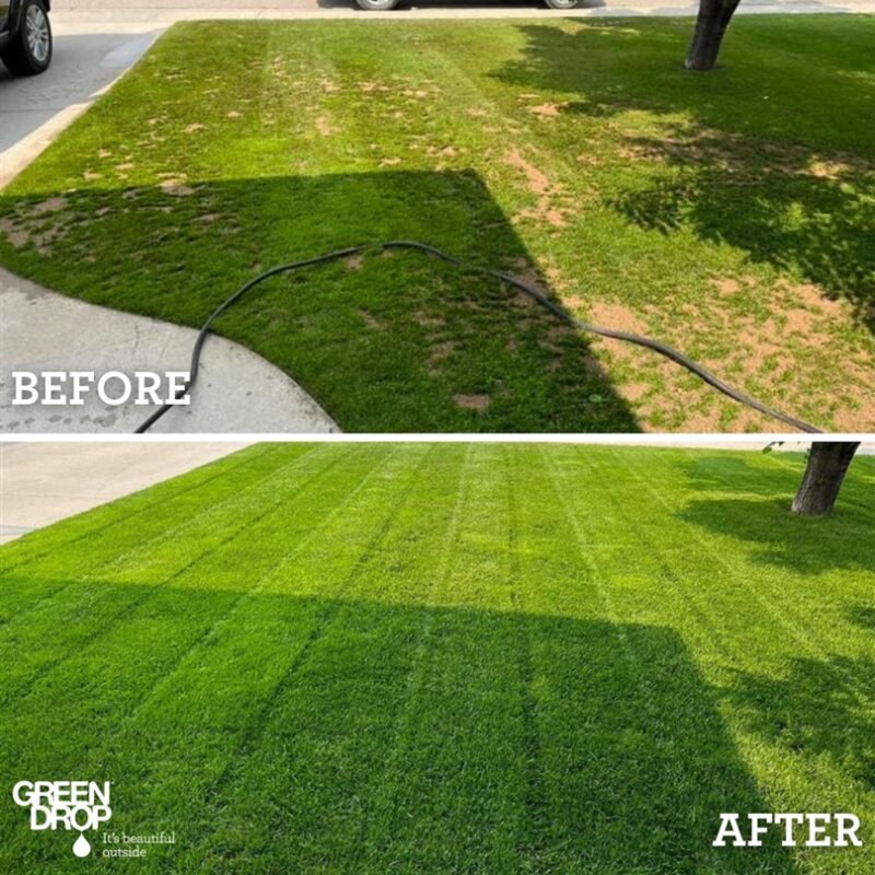 Before After Aeration