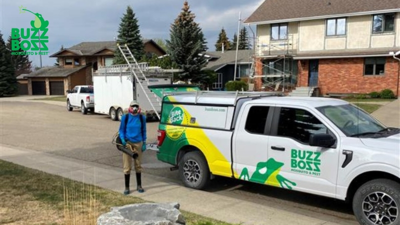 Buzz boss worker standing in front of a truck