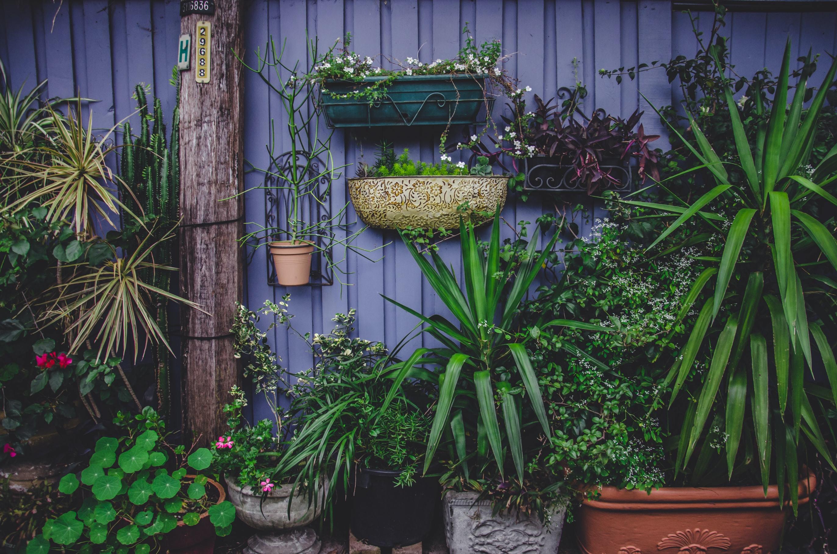 Vertical Garden