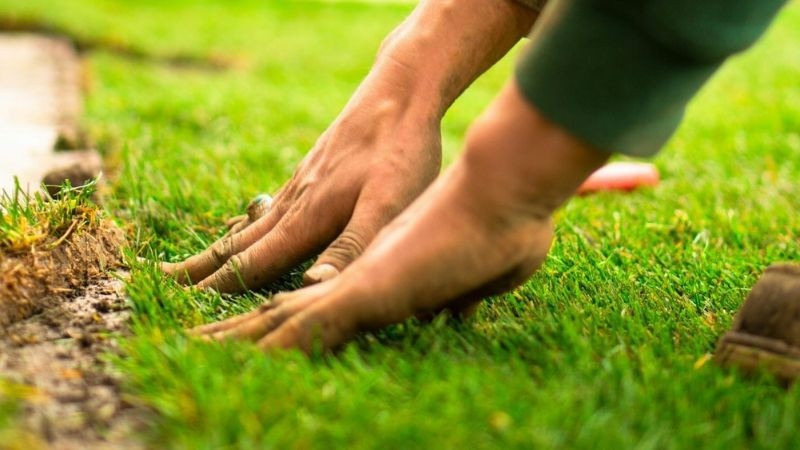 Hands pressing new grass into place beside a garden edge