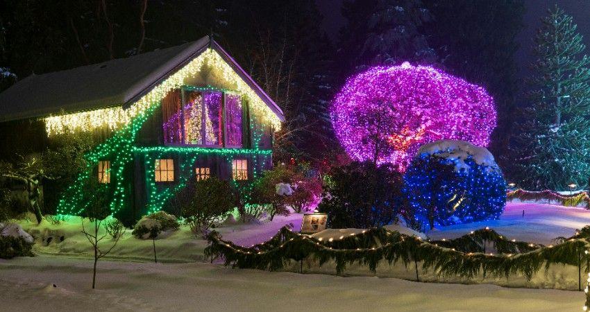 A house and trees decorated with bright multicolour holiday lights, creating a vibrant, movie-inspired display reminiscent of Whoville.