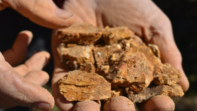 Hands holding compacted clay soil, which can lead to poor drainage and weak lawn growth