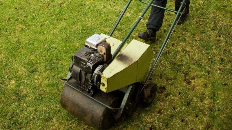 How to Care For Your Lawn After a Rainstorm