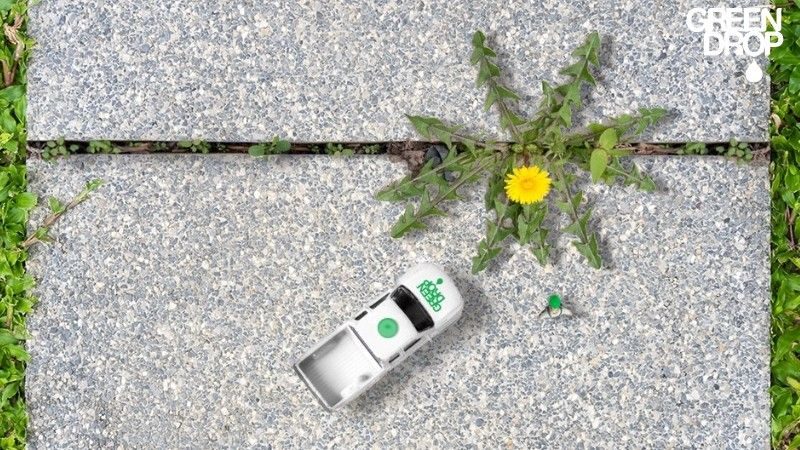 How to Get Rid of Dandelions Without Damaging Your Lawn
