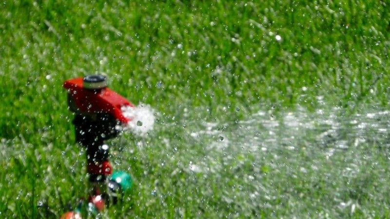 Lawn sprinkler watering grass deeply to help support stronger roots and reduce drought stress