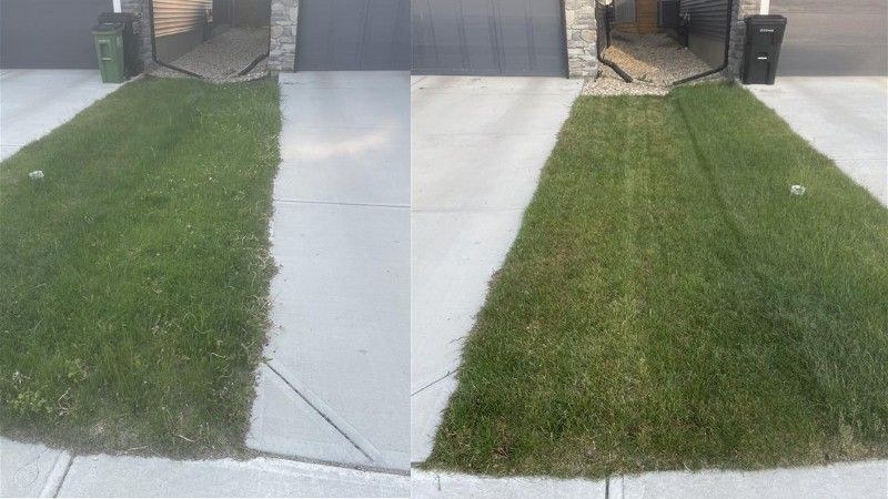 Side-by-side photo showing a tired, uneven lawn strip next to a driveway turned into uniform, healthy turf.