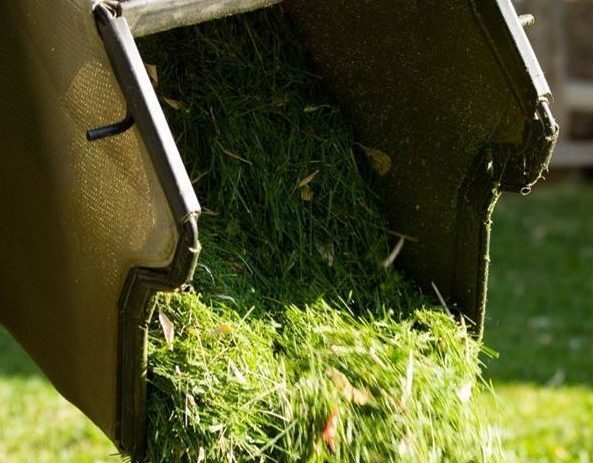 Cut grass in a mower disposal