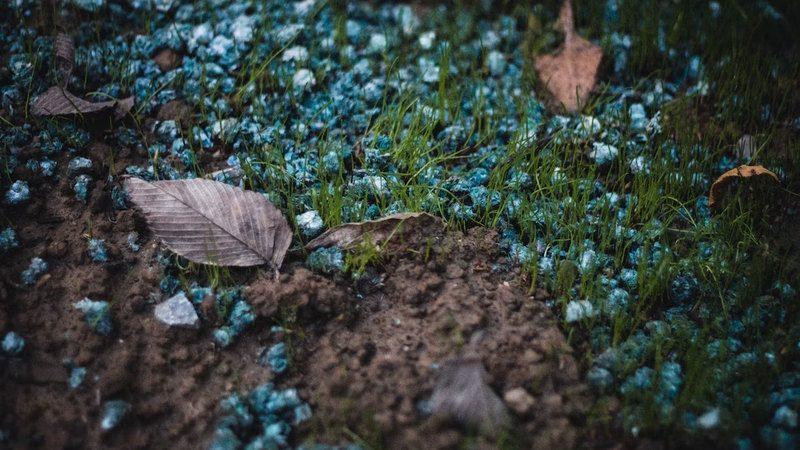 Blue fertilizer granules scattered across soil and grass