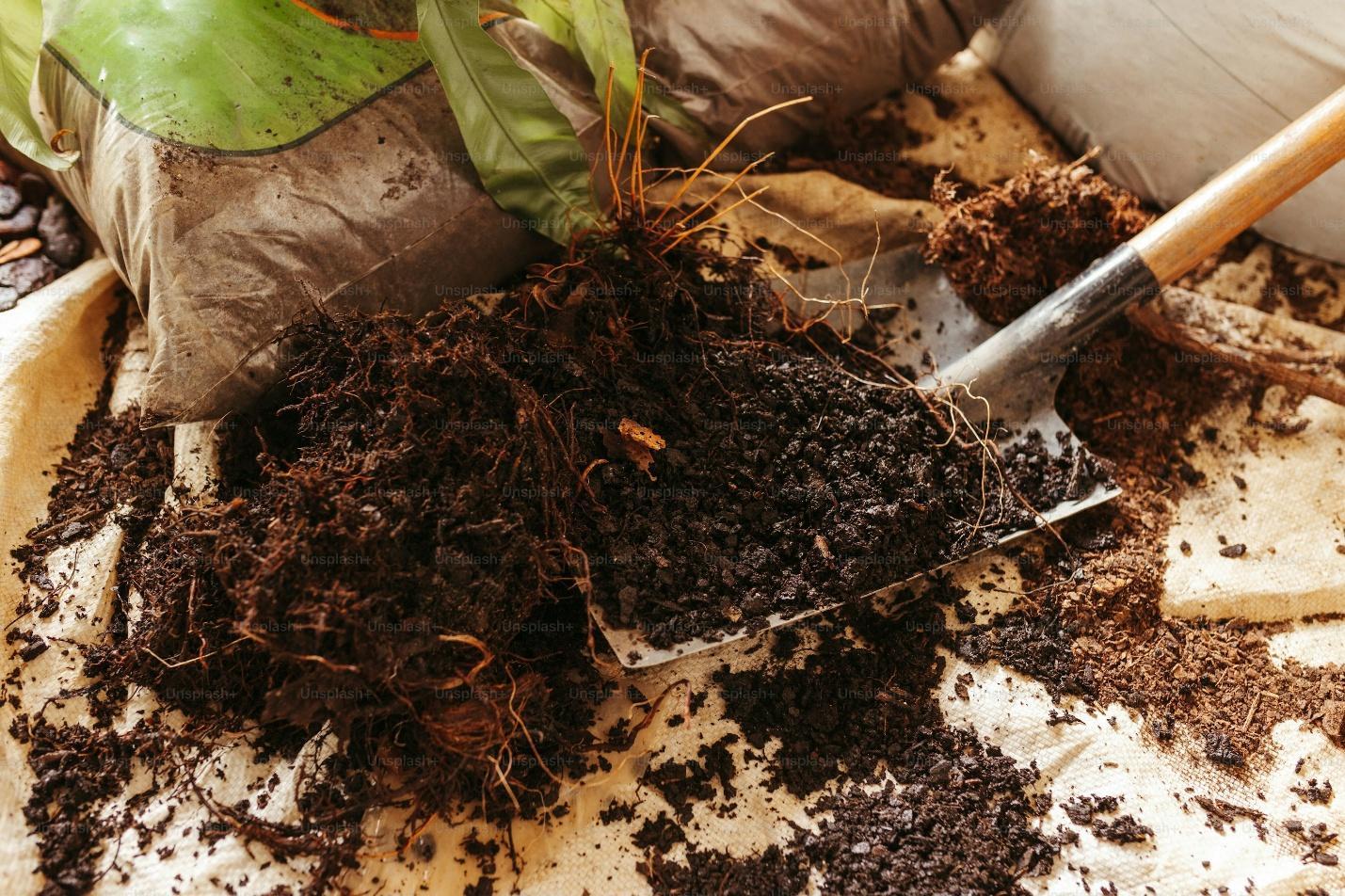 Person digging into dark soil with a garden shovel