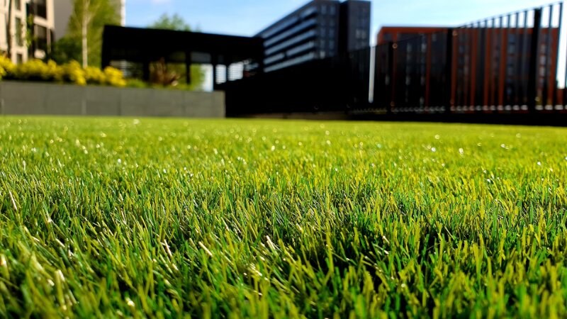 Fresh Cut Grass Yard