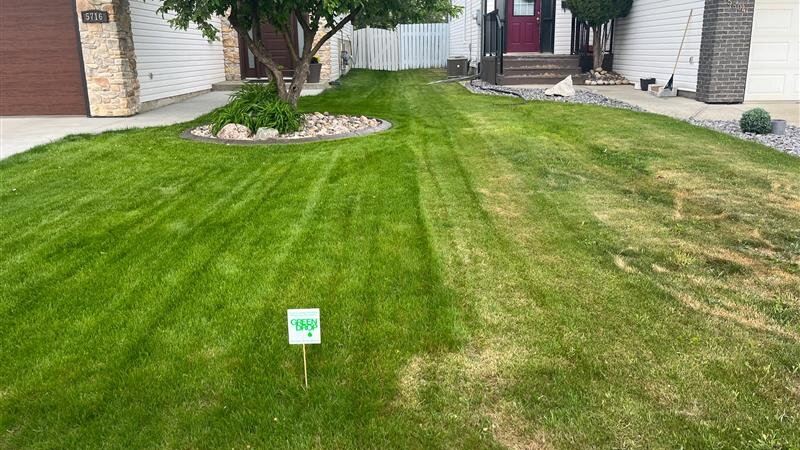 Freshly Treated Lawn