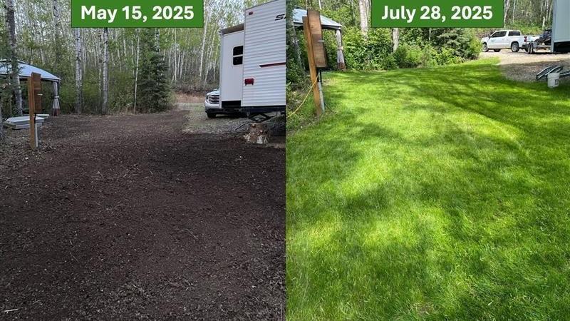 Before-and-after of a campsite lawn transformation from bare soil in May to thick green grass in late July 2025.