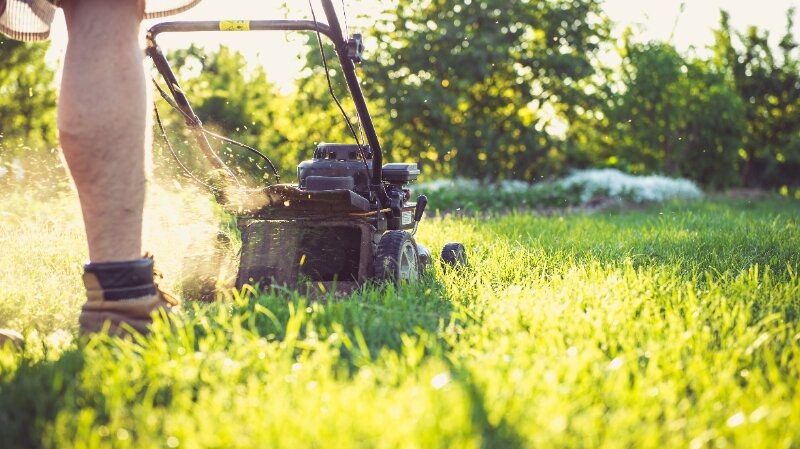 Grass Mowing Winter Preparation