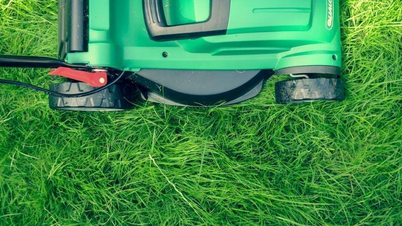 Top view of a lawn mower cutting through long green grass