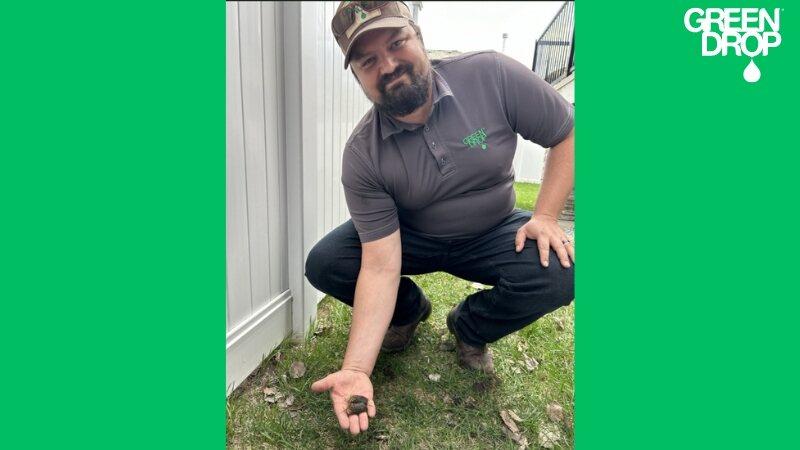 Green Drop technician holding a soil core from an aerated lawn