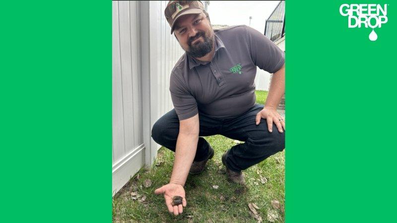 Green Drop technician holding a soil core plug removed during lawn aeration