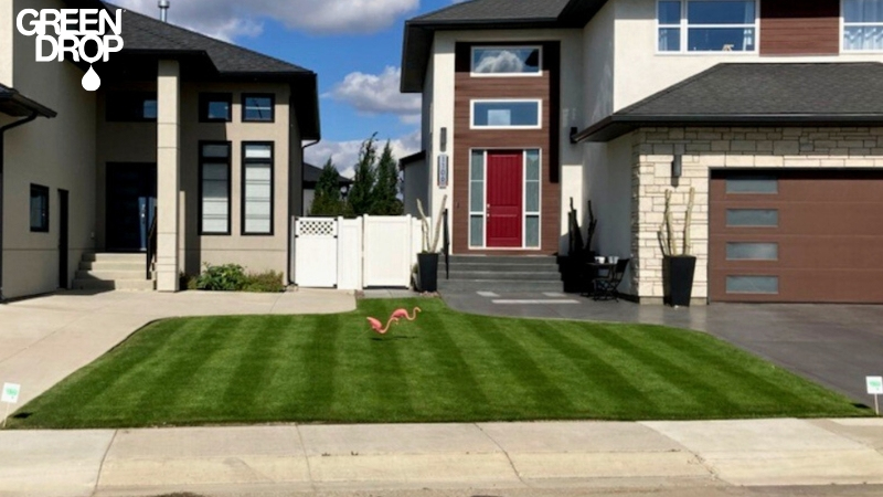 lawn treated by Green Drop