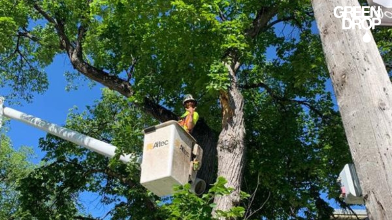 Green Drop worker on a lift in Calgary