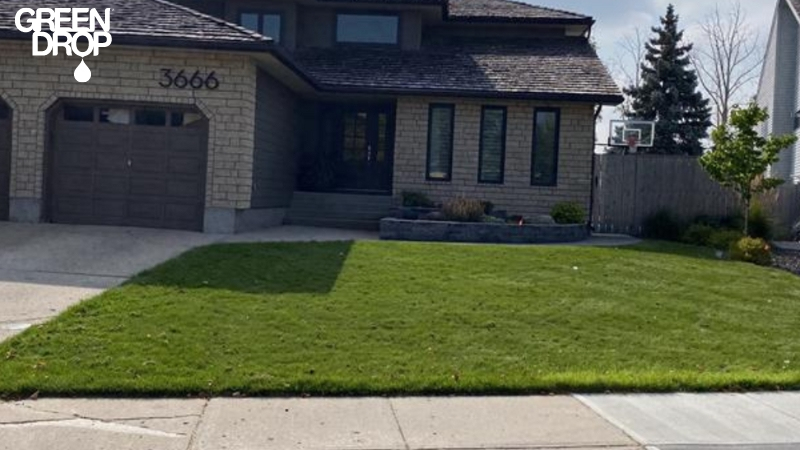 beautiful front lawn by Green Drop in Edmonton