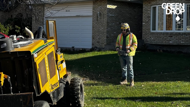 green drop worker removing a stump